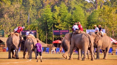 चार वर्षपछि सौराहमा हात्ती महोत्सव हुँदै