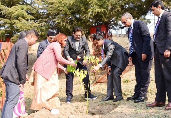 एसबिआई बैंकद्वारा पशुपतिको कैलाश डाँडामा वृक्षारोपण